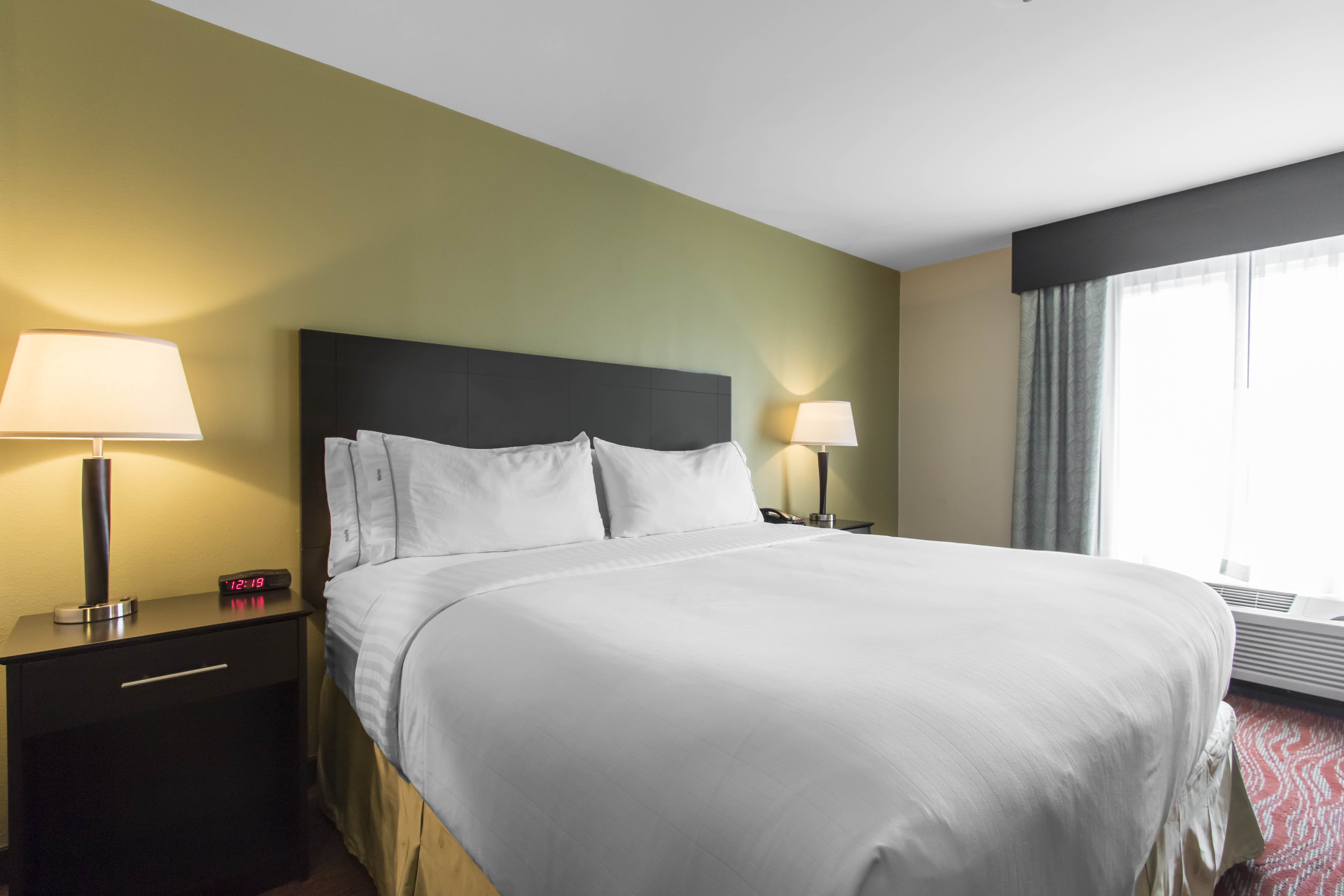 Holiday Inn Express Hotel Suites Cullman 23/38