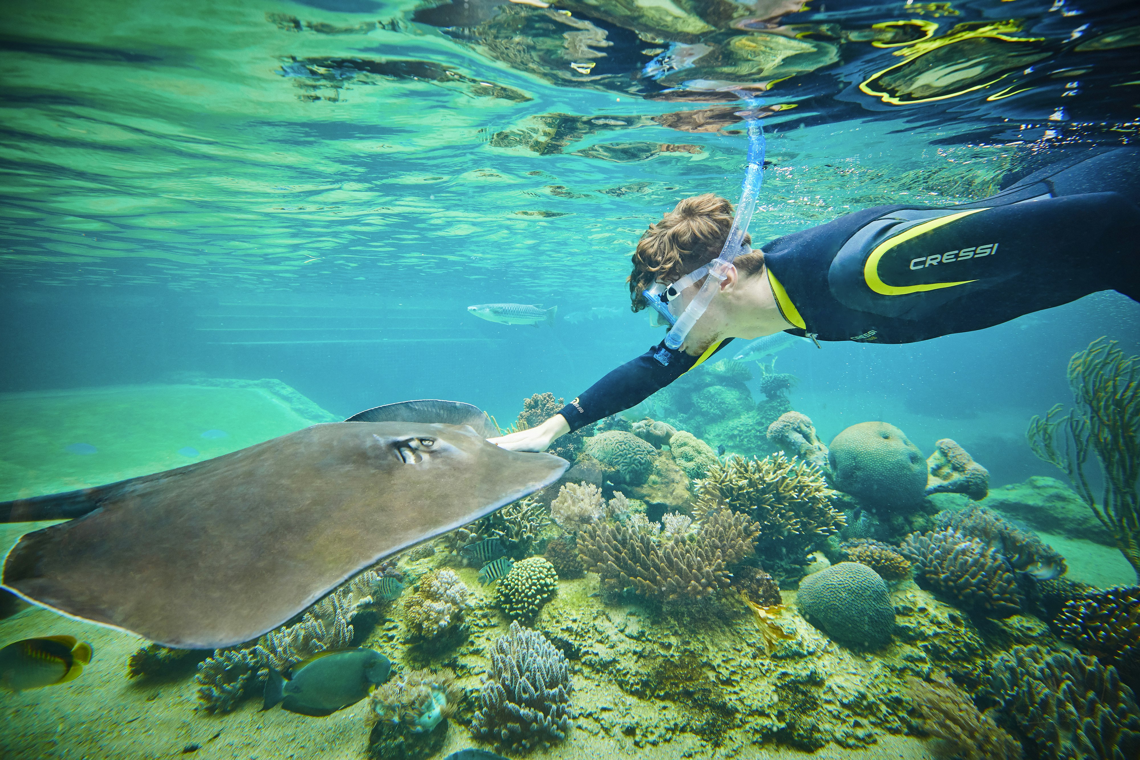 Daydream Island Resort and Living Reef 27/34