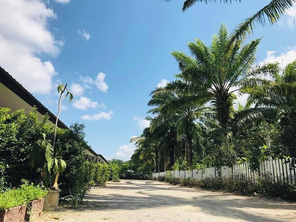 Golden Palm Resort 48/53