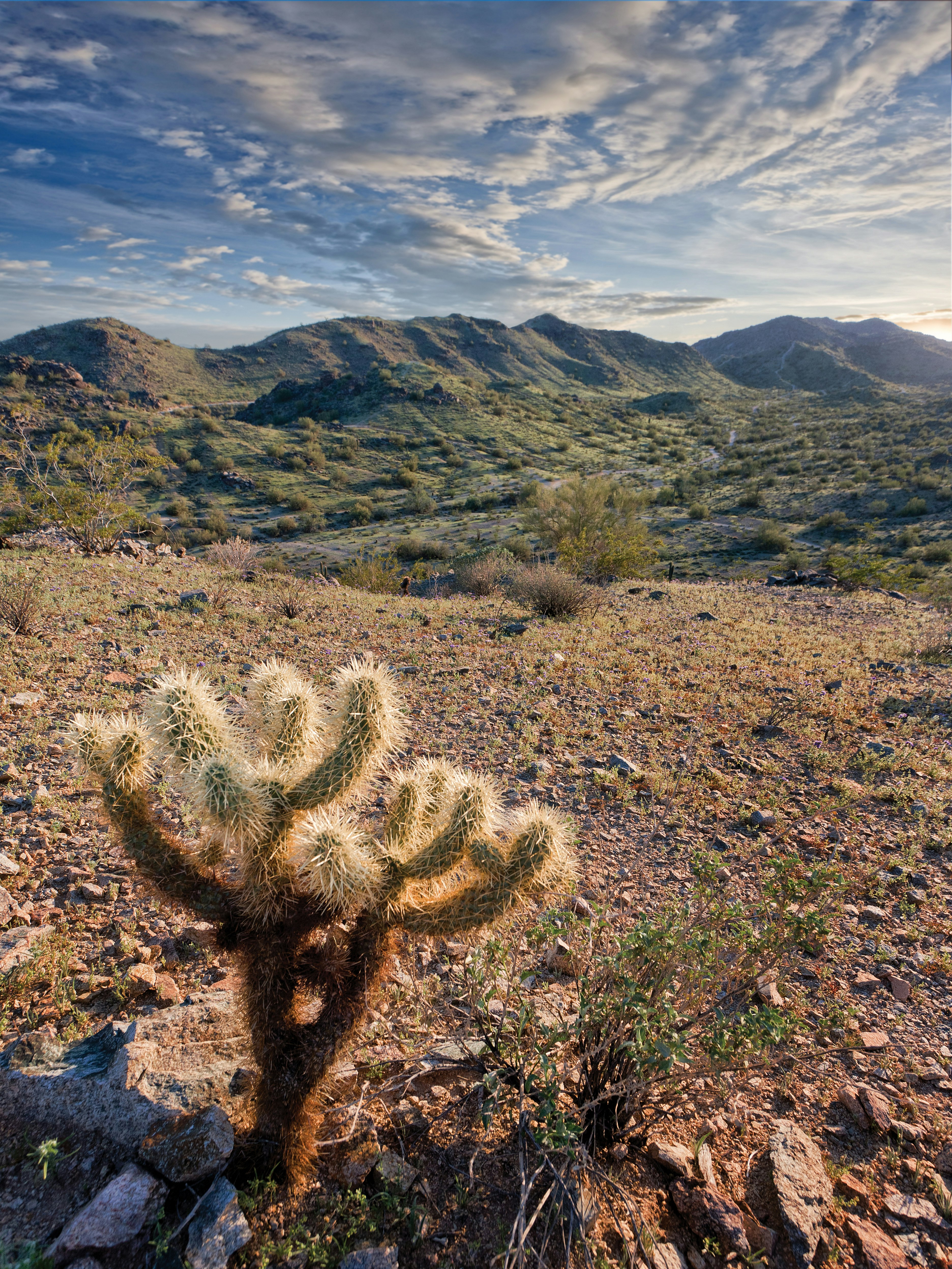 Worldmark Phoenix South Mountain Preserve 20/50