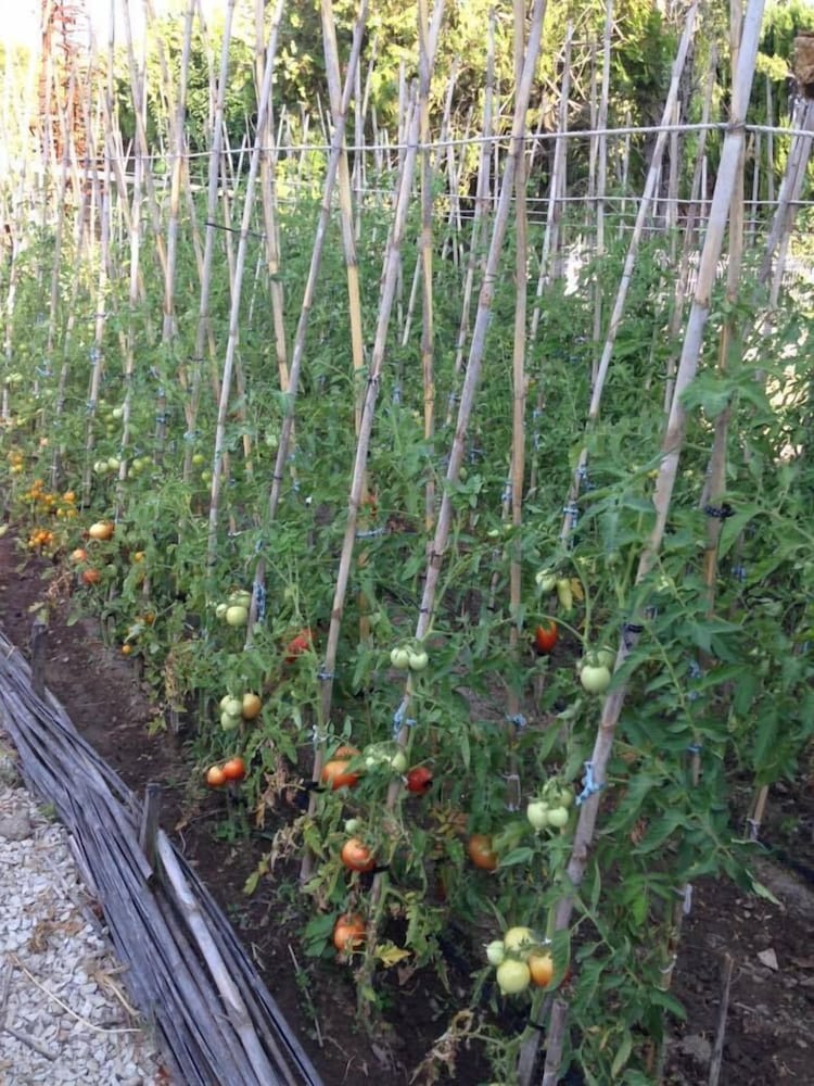 MAS DES FIGUES 57/67