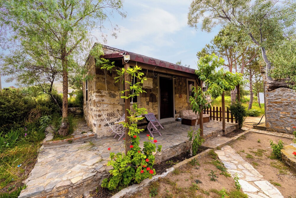 Aral Tatil Ciftligi 38/50