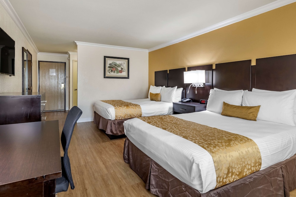 Best Western Plus South Bay Hotel 16/36