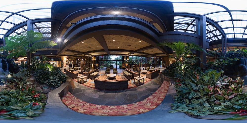 Disneys Polynesian Village Resort 39/50