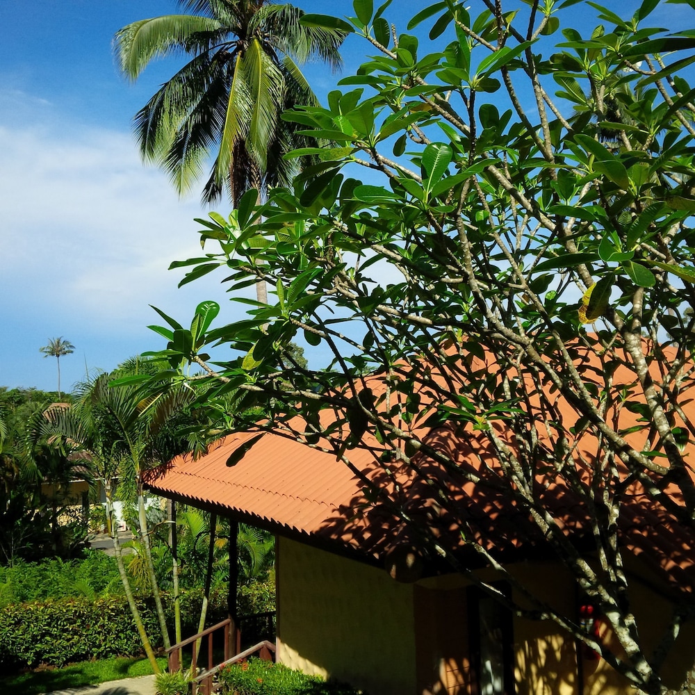 Paradise Bungalows 45/47