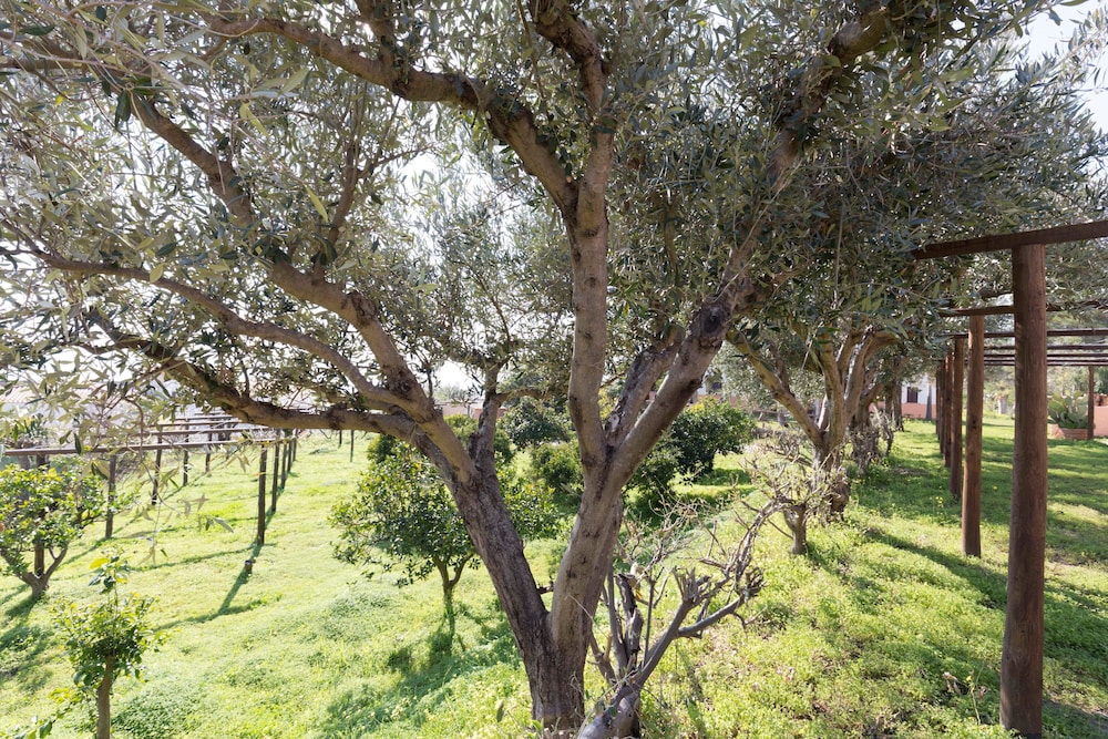 Residence Esmeraldo 37/43