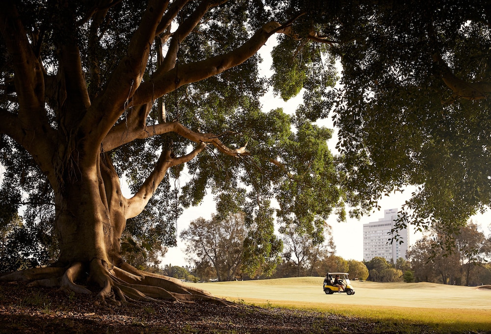 RACV ロイヤルパインズ リゾート ゴールドコースト 写真3