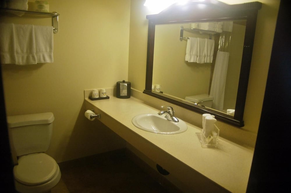 Days Inn by Wyndham Athabasca 37/40