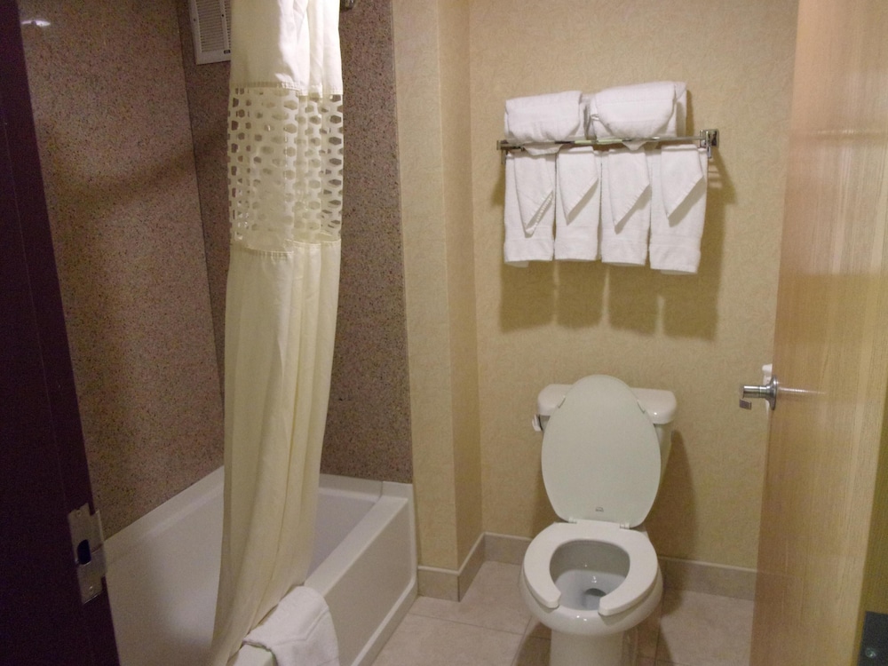 Hampton Inn Suites Bolingbrook 14/48