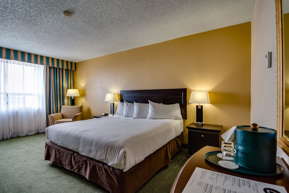 Sawridge Inn Edmonton South 21/49