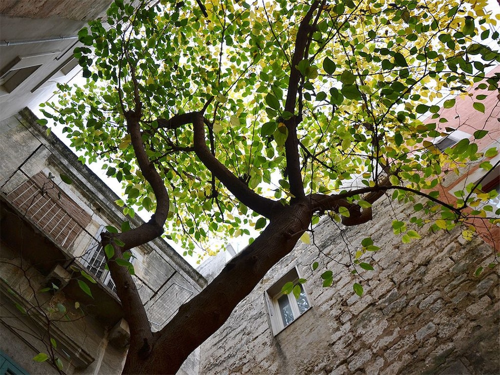 Suite Home Trani Old Town 8/11