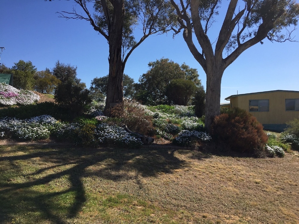 Burnt Creek Cottages Mansfield 35/50