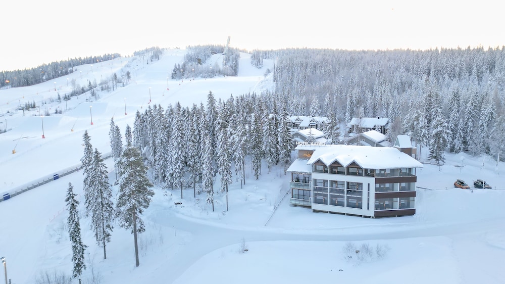 Vuokatin Aateli Hotel 3/41