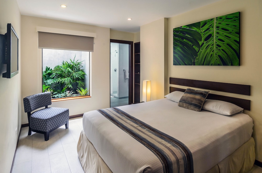Isla Verde Hotel 6/43