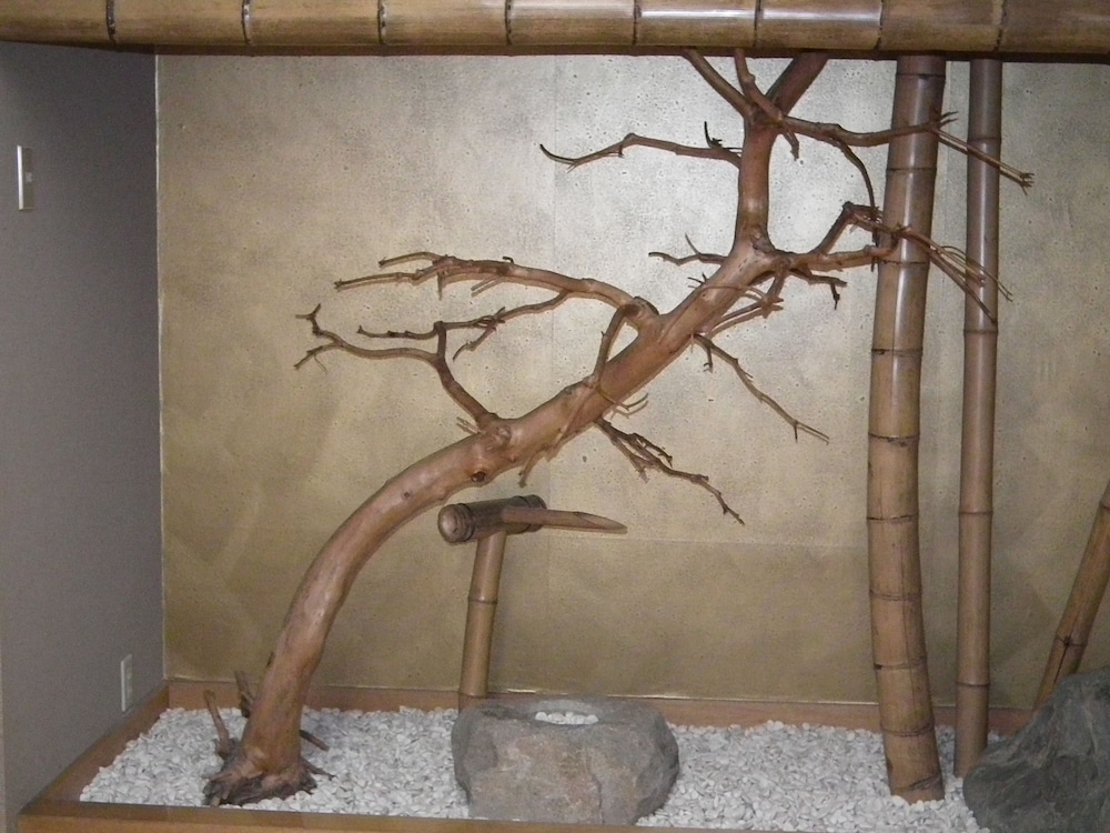 Ryokan Sensyoen 24/50