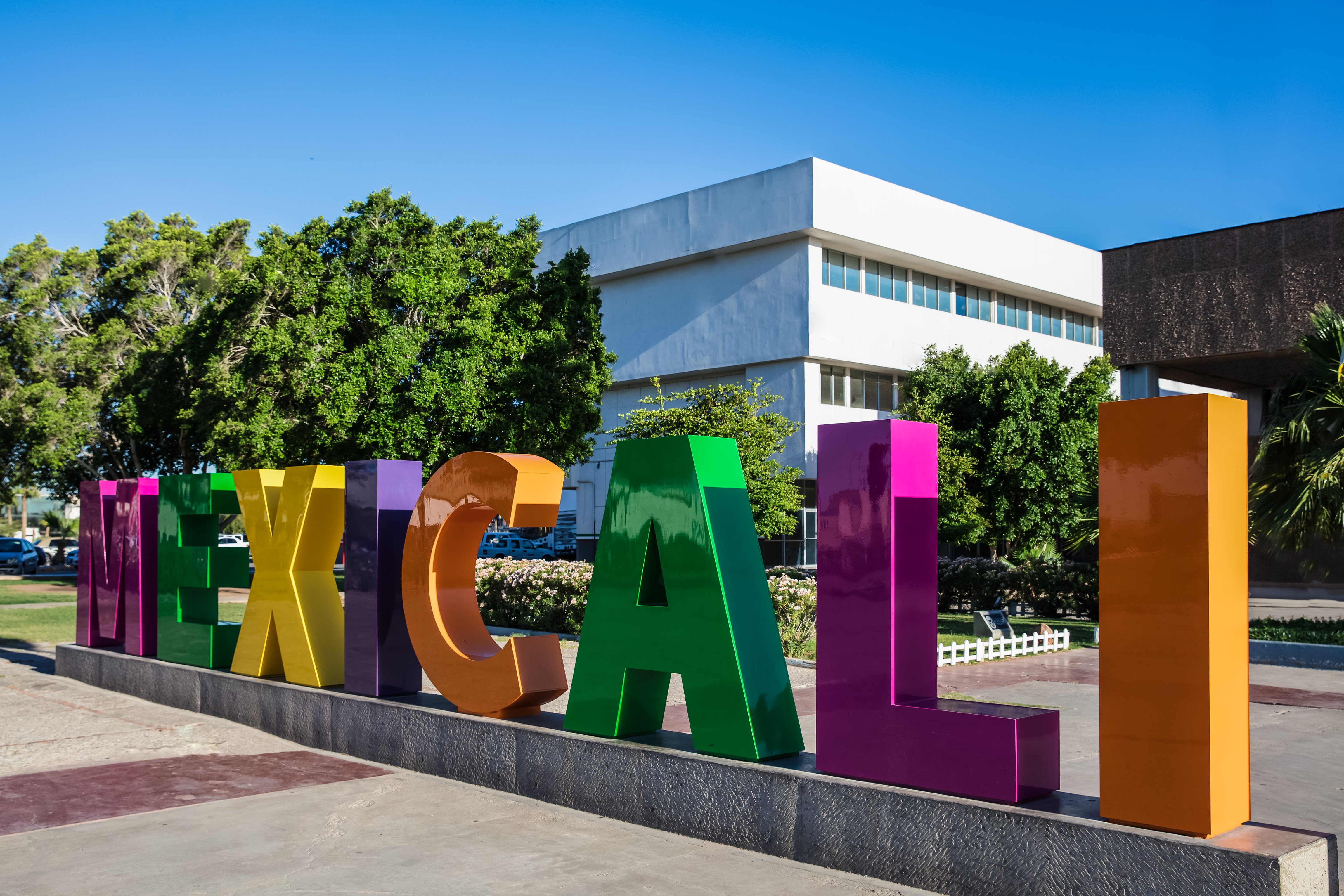 One Mexicali 44/50