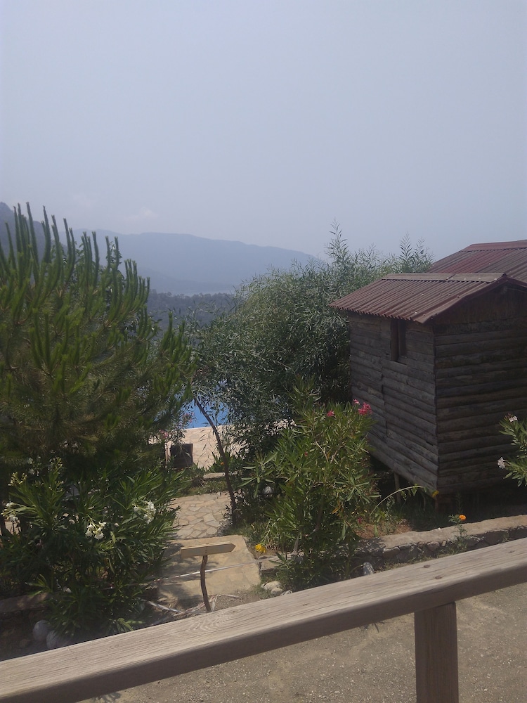 Olive Garden Kabak 40/50