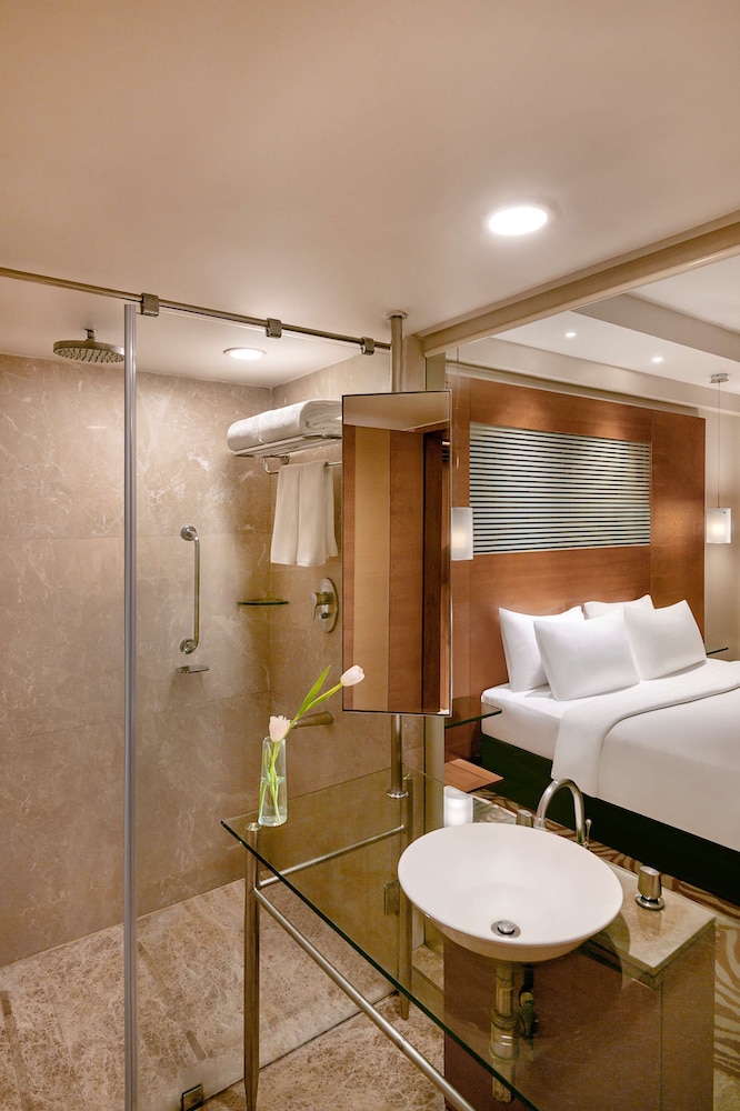 Radisson Blu Hotel Ahmedabad 14/71