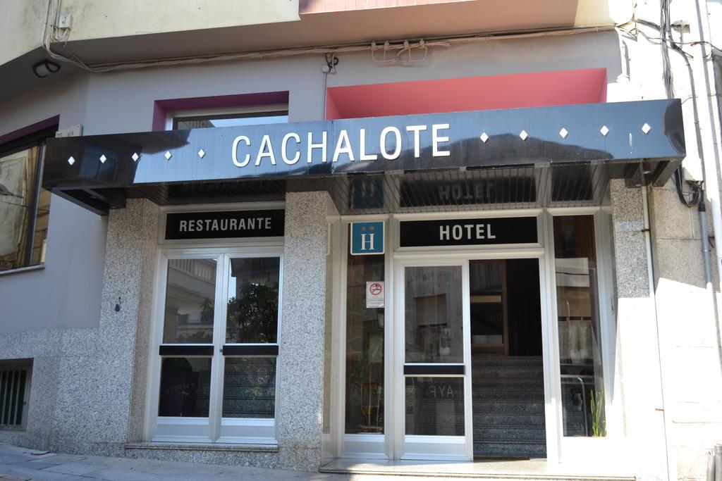 NUEVO CACHALOTE 2/52