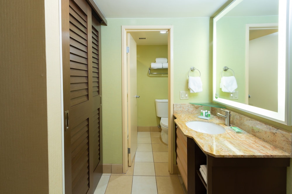 HOLIDAY INN SAN JOSE - SILICON VALLEY 28/67