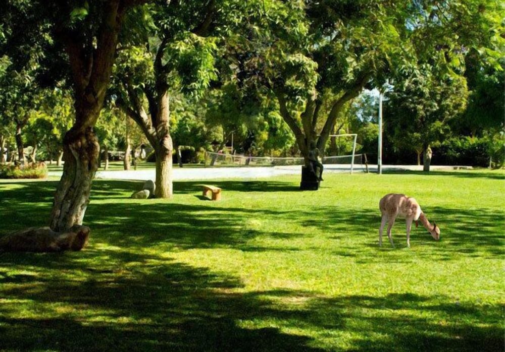 Hacienda Majoro Boutique Resort 45/50