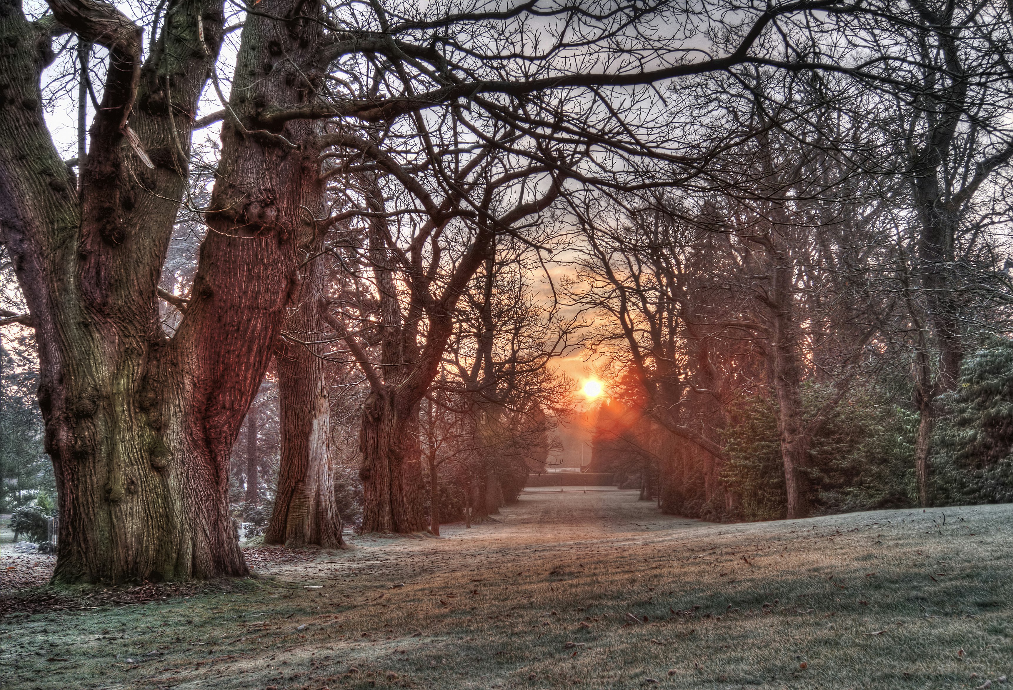 Tylney Hall 37/45
