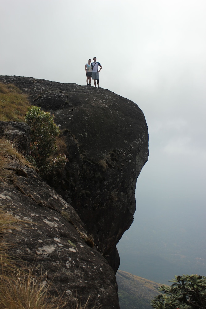 Spice Tree Munnar 45/50