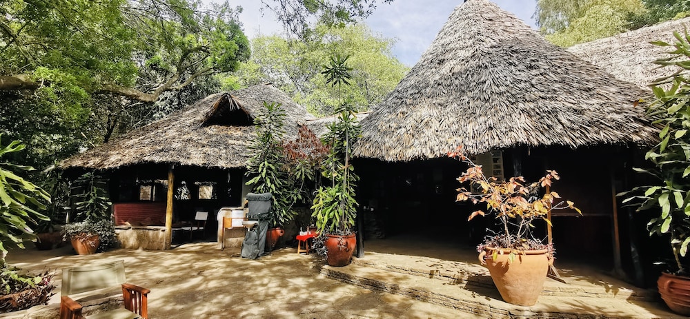 Fig Tree Camp 28/45