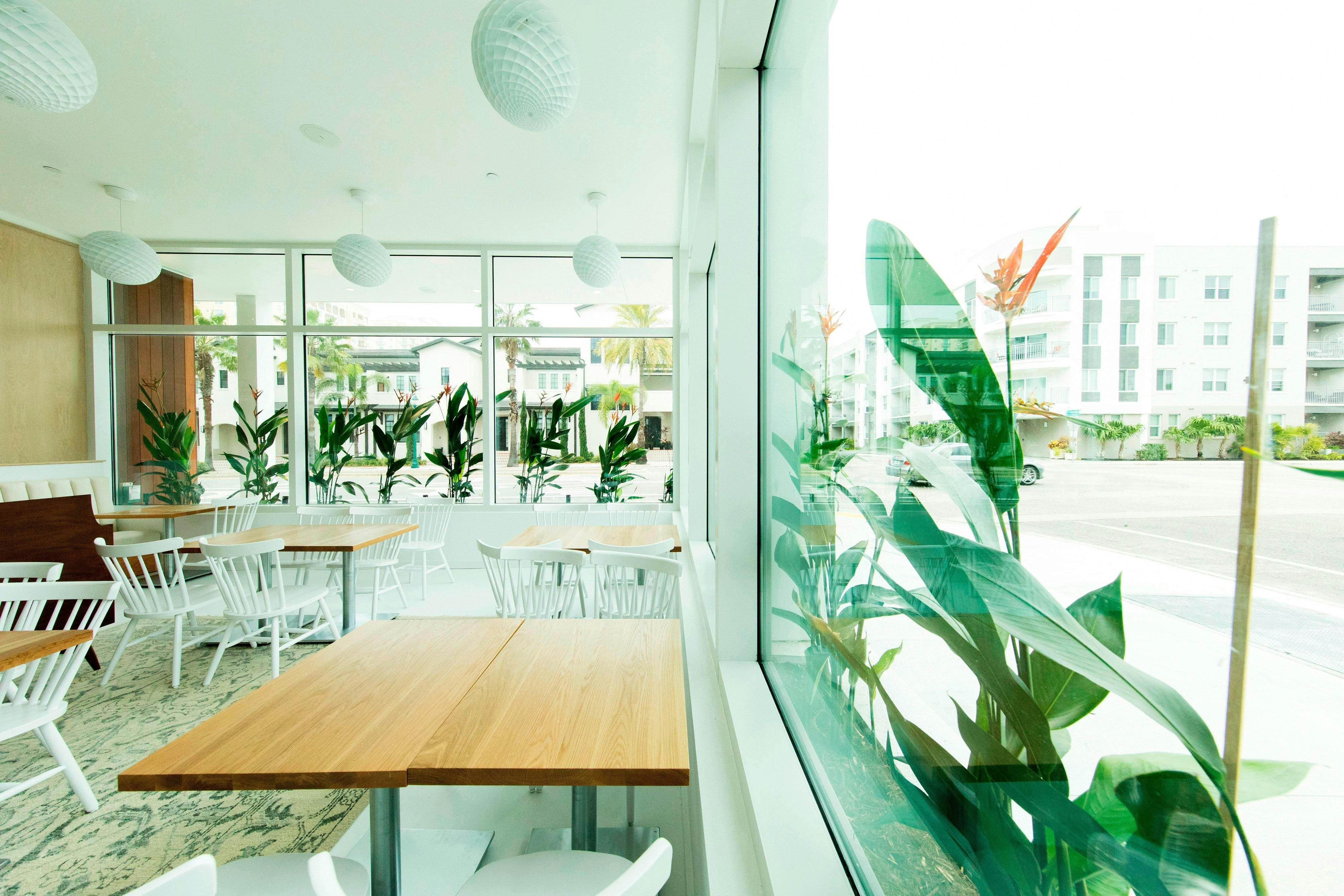 The Sarasota Modern, a Tribute Portfolio Hotel 27/44