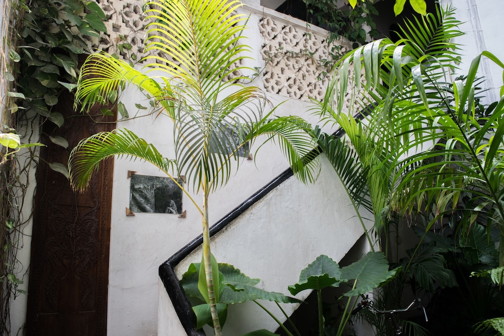 Malindi Boutique 38/41