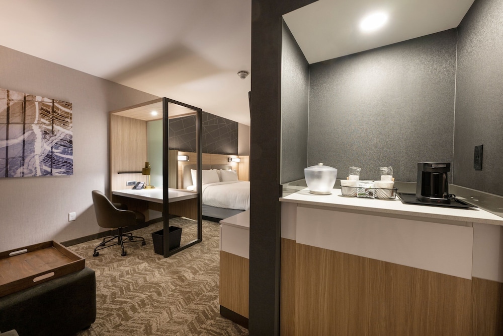 SpringHill Suites by Marriott Colorado Springs Downtown 42/44