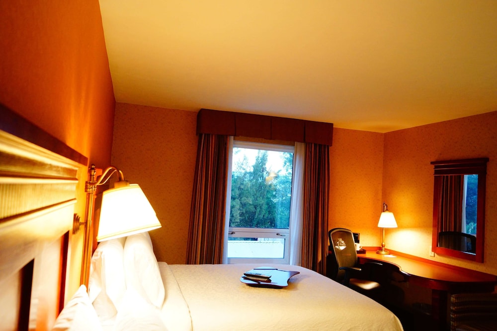 Hampton Inn by Hilton Guadalajara-Aeropuerto 19/47