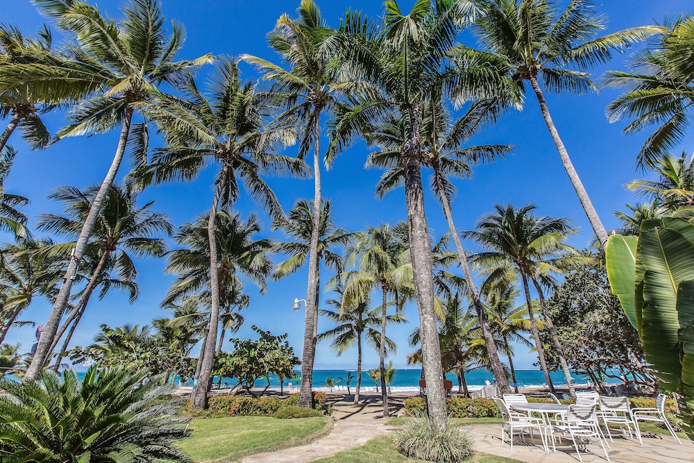 Cabarete Palm Beach Condos 38/50