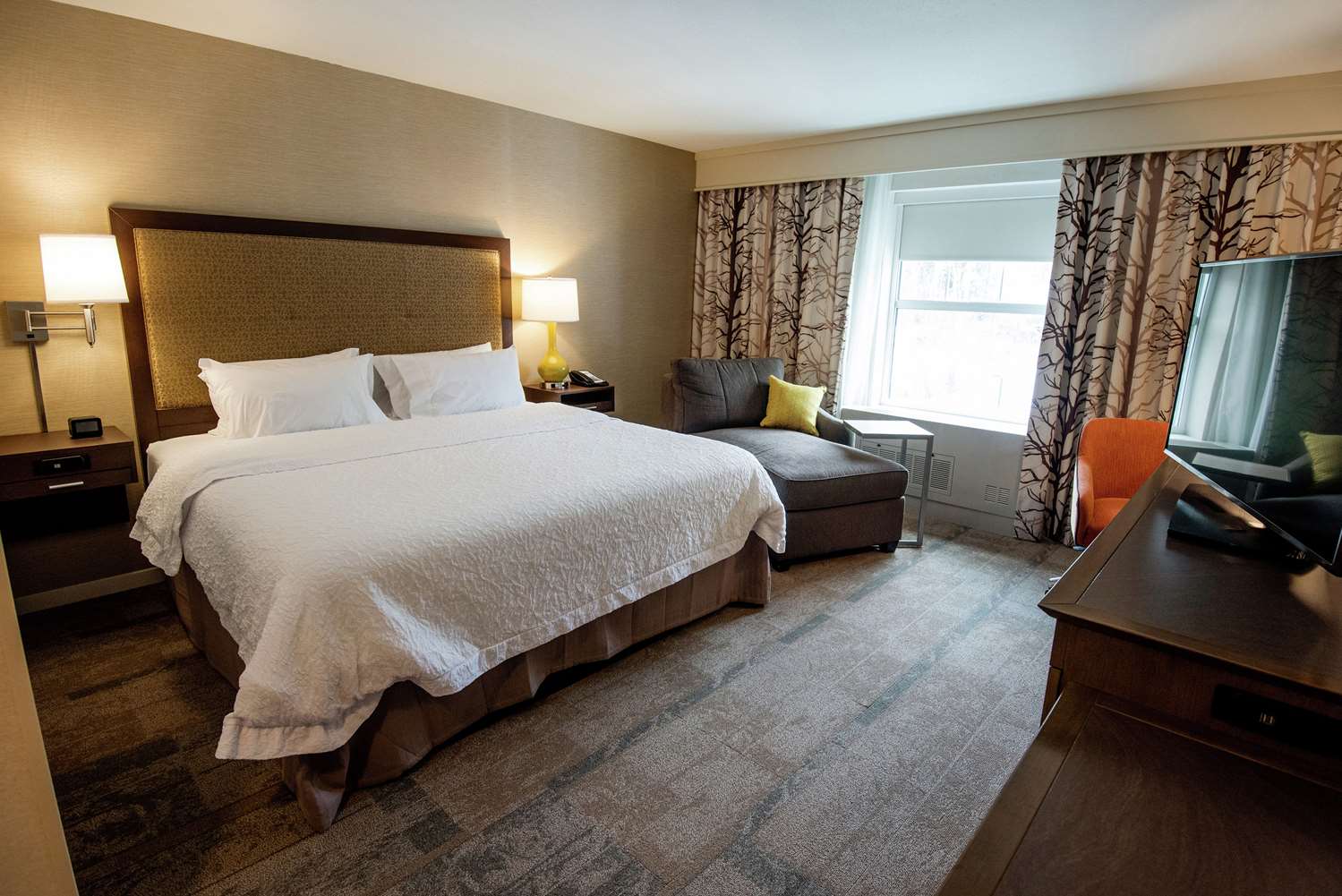 Hampton Inn and Suites Manchester VT 20/48