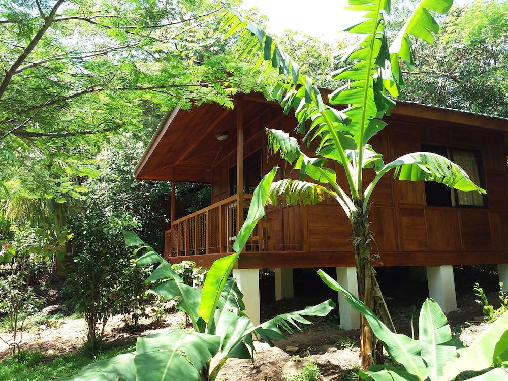 Rancho De Lelo Ecolodge & Sustainable Farm 8/65