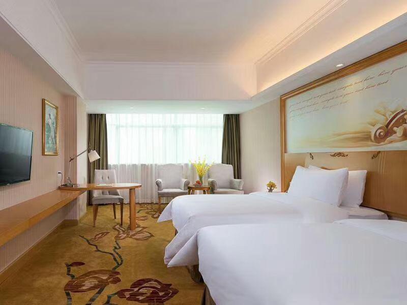 Vienna Hotel (Dayawan Xinliao) 11/18