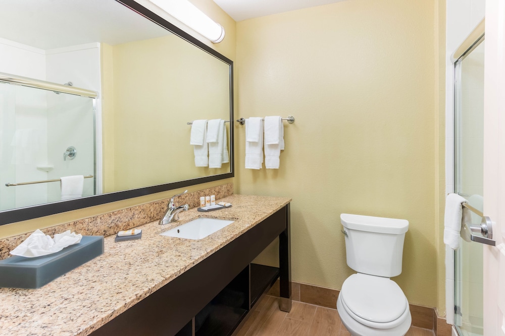 La Quinta Inn And Suites Carlsbad 15/59