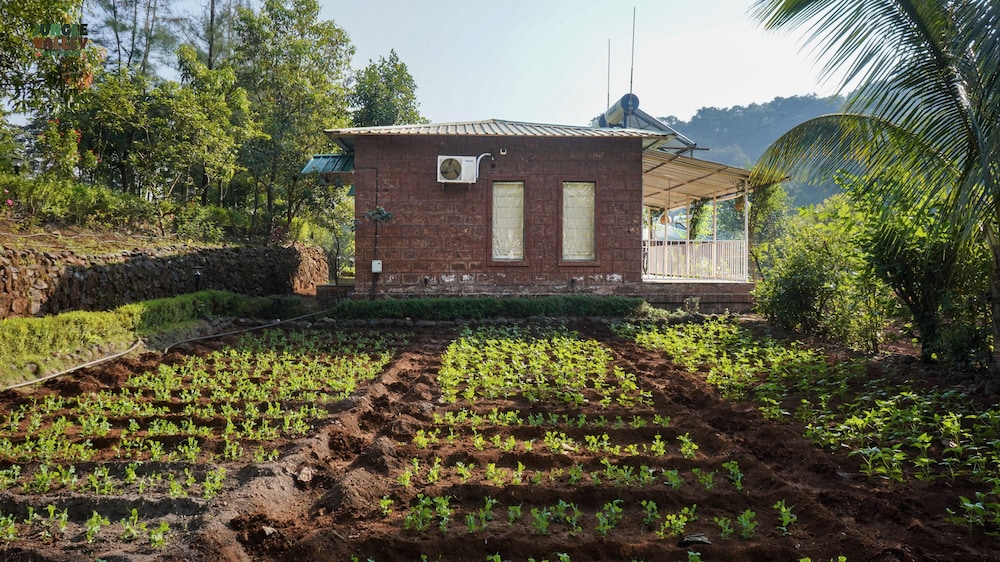 Jungle Valley Agriculture Resort 43/47
