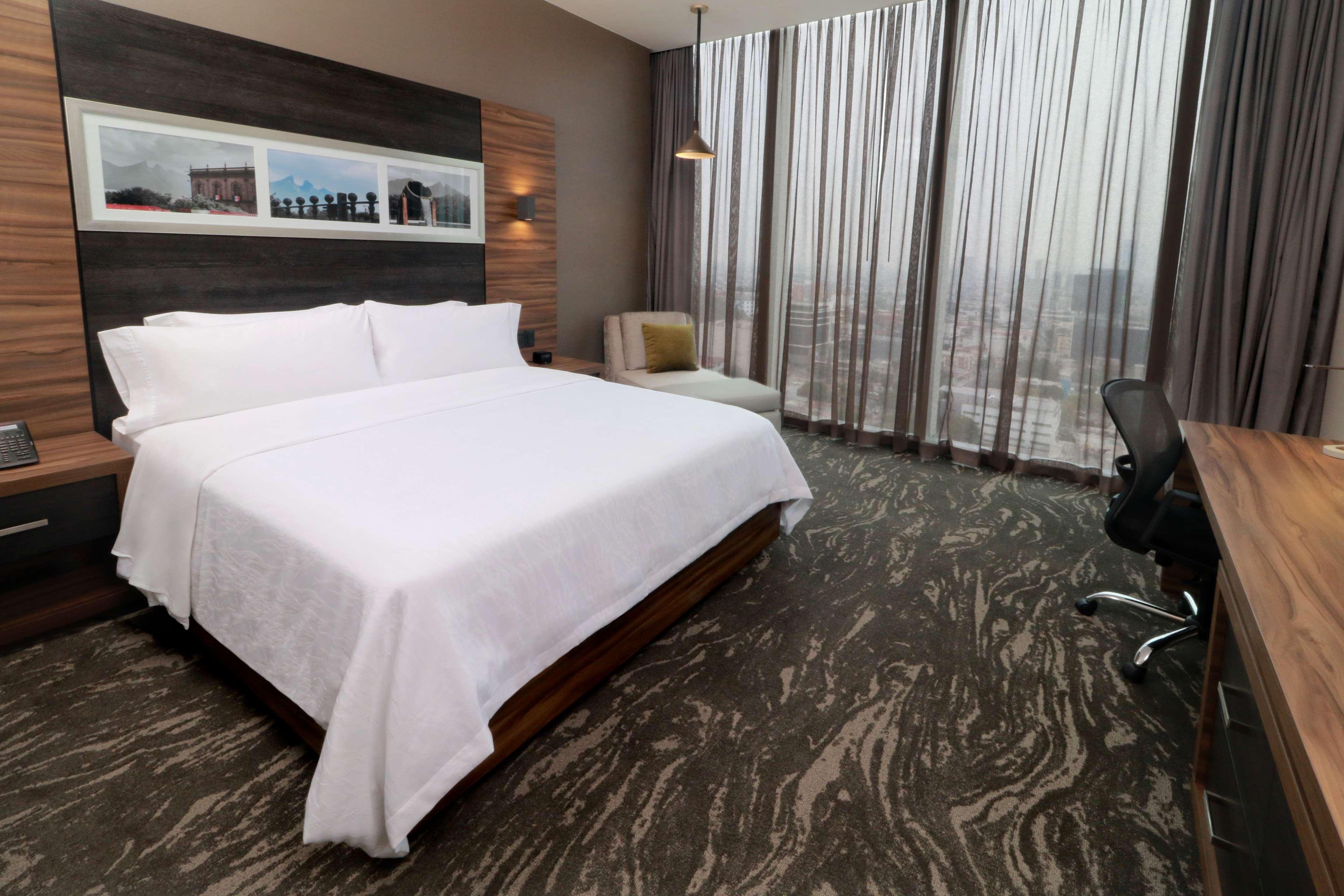 غرفة بسرير مزدوج بإطلالة، Hilton Garden Inn Monterrey Obispado 2/2