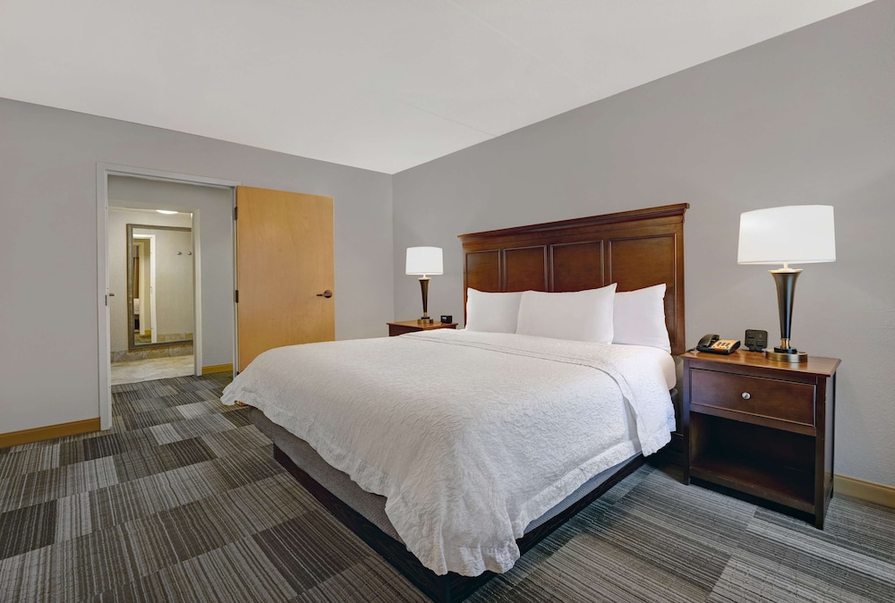 جناح بسرير كينج لذوي الإعاقة، Hampton Inn & Suites Pigeon Forge On The Parkway 3/4