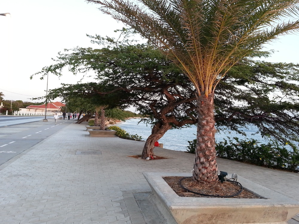 Le Chateau Ocean Villas 44/48