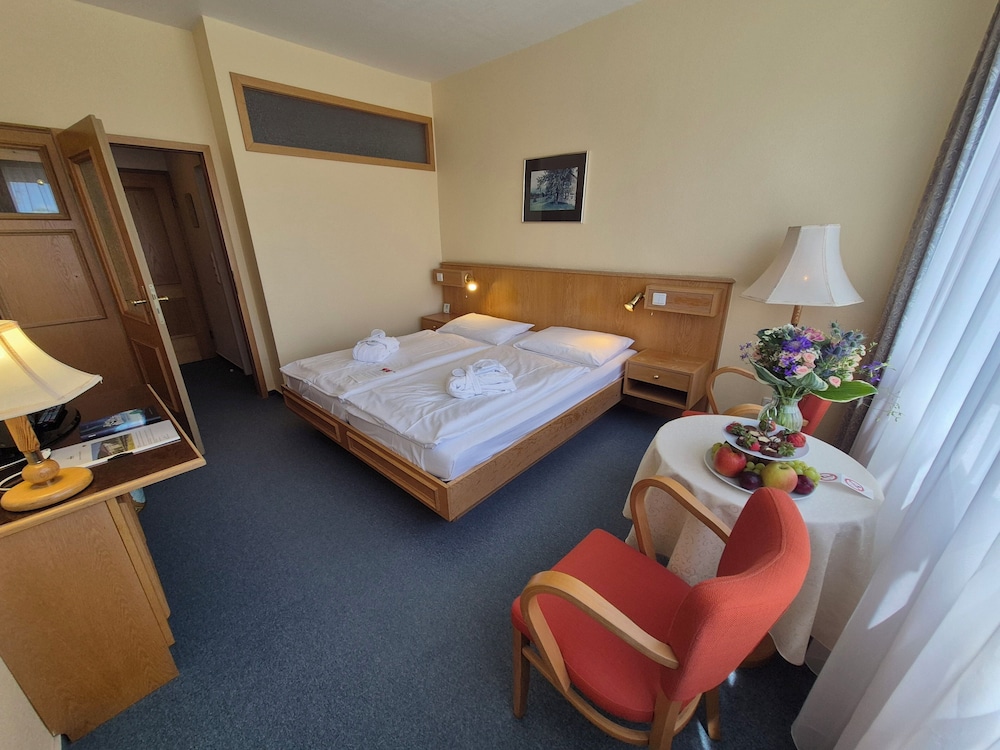 PANORAMA HOTEL OBERWIESENTHAL 8/41