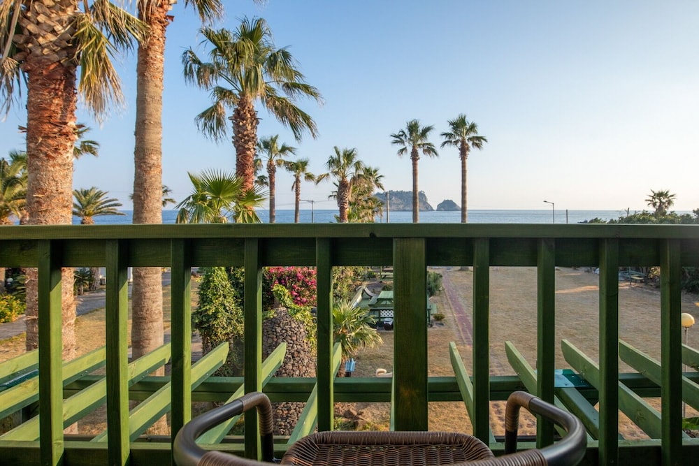 Seogwipo Euro House Pension 17/20
