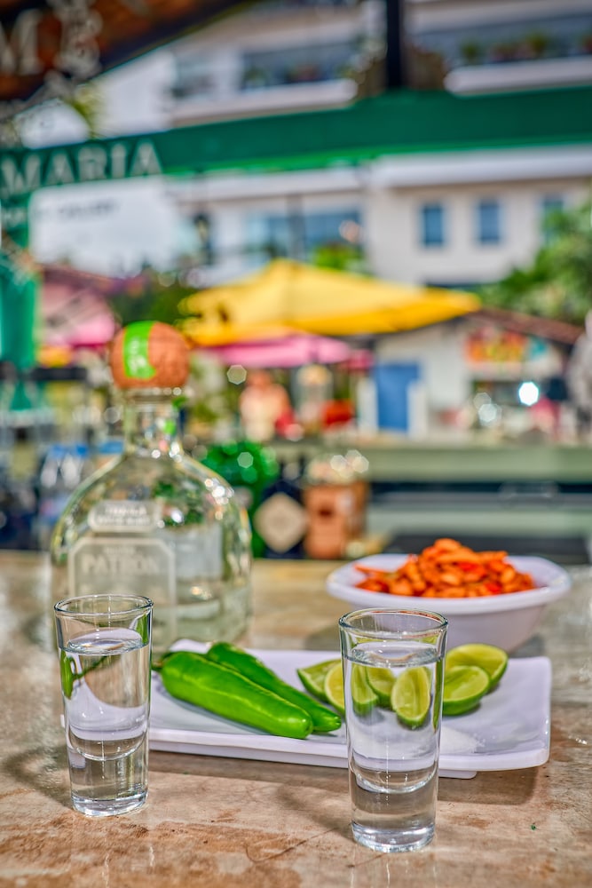 Vallarta Sun酒店(Vallarta Sun) 图片4