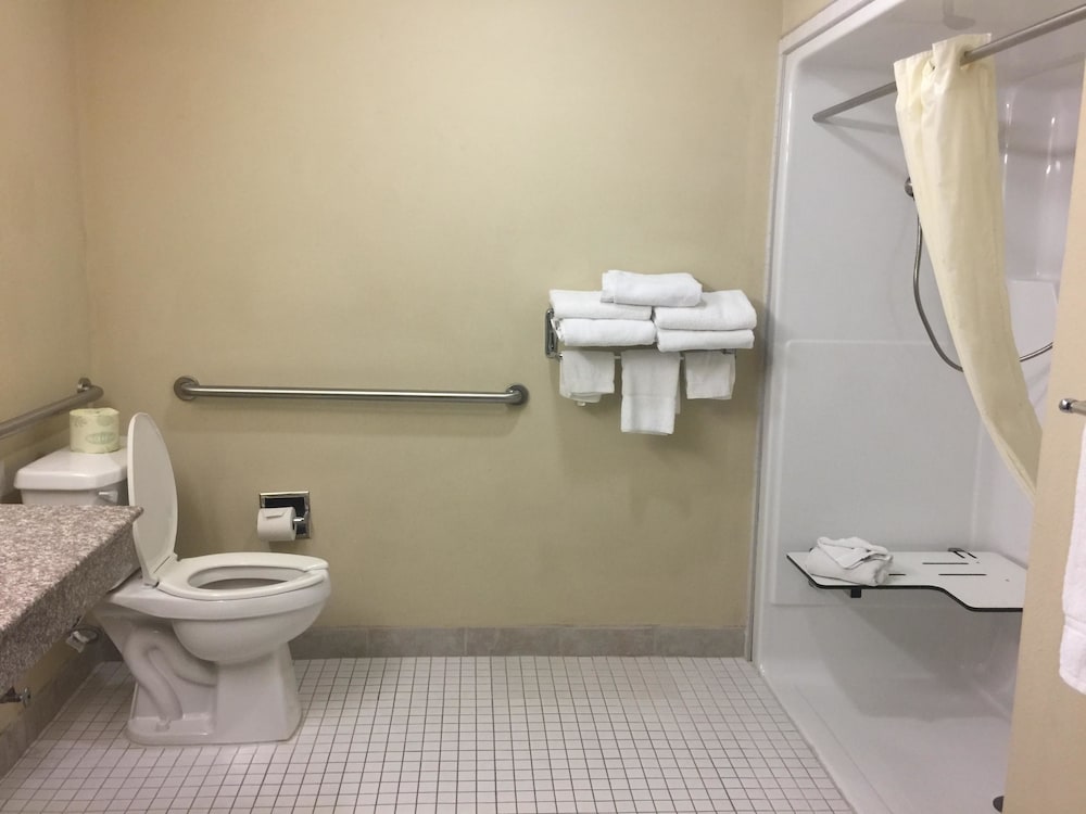 Best Western Plus Burleson Inn & Suites 12/32