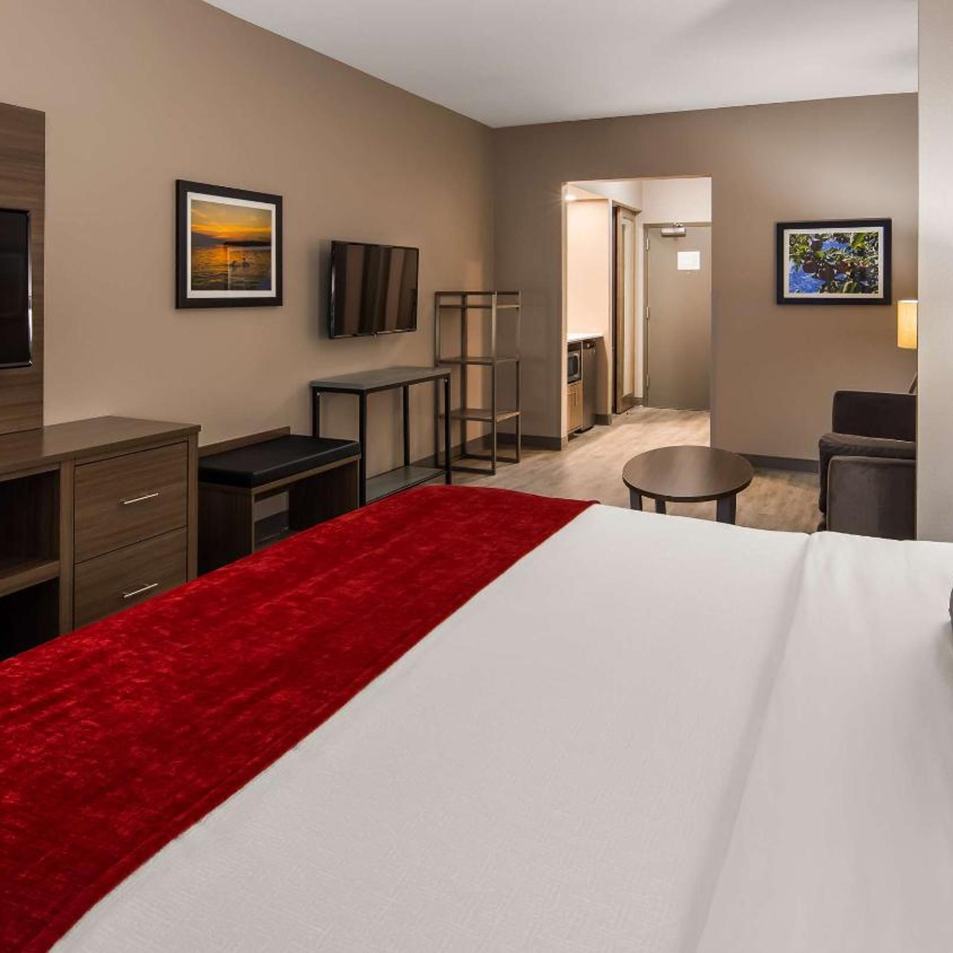 Suite, King Bed, Country View