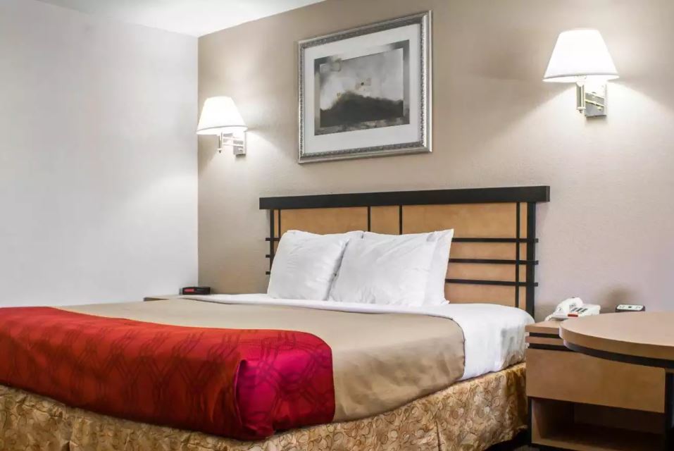 SUITE, KING BED