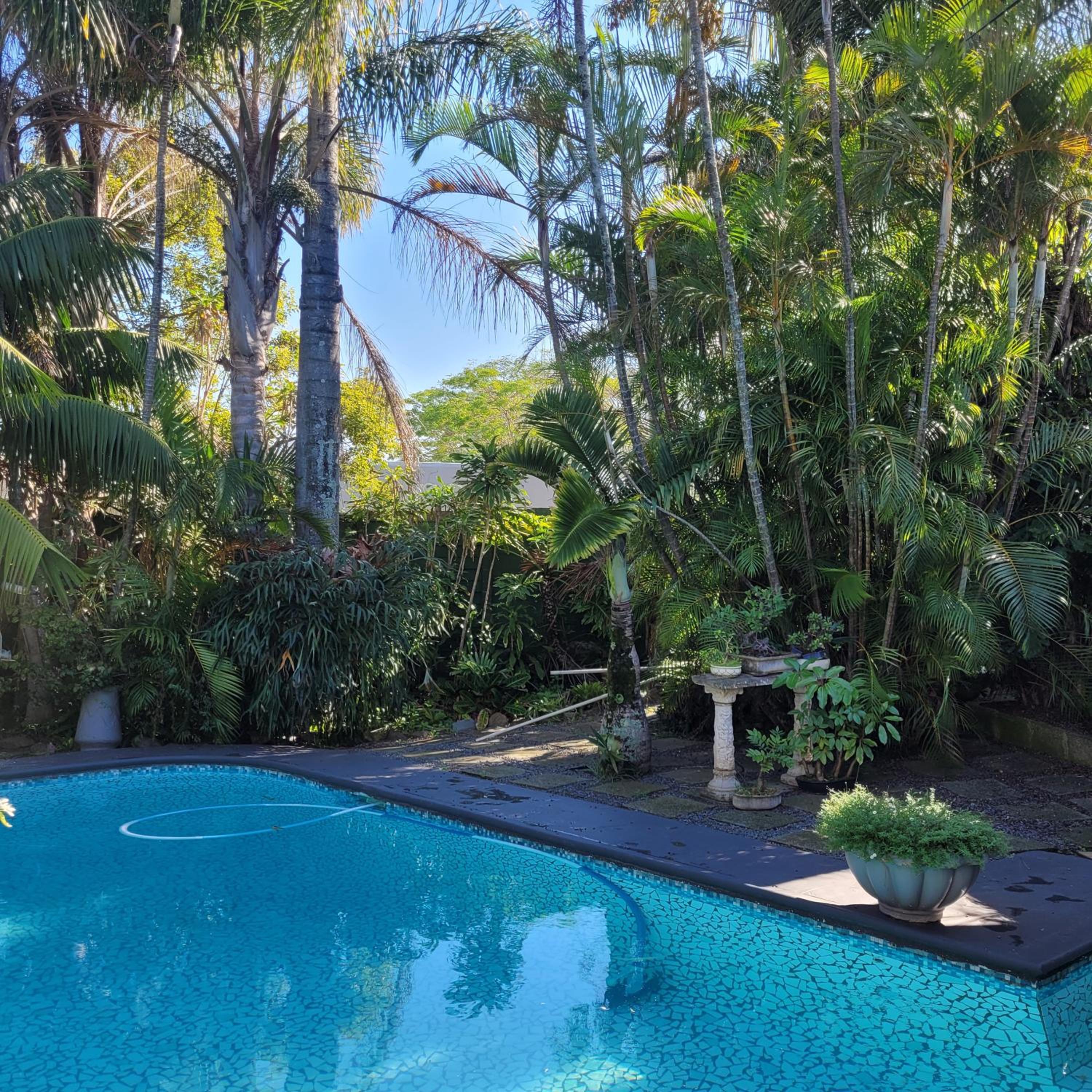Kennington Palms 13/16
