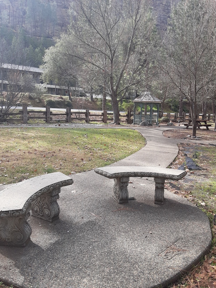Yosemite Cedar Lodge 53/59