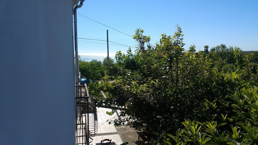Il Giardino Fra Gli Ulivi 46/56